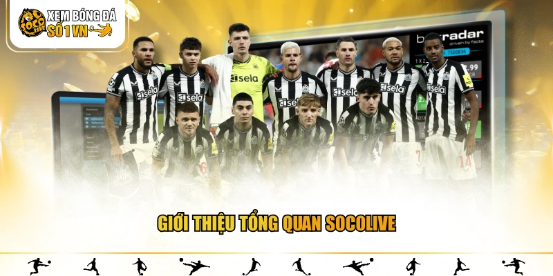 Giới thiệu tổng quan SOCOLIVE