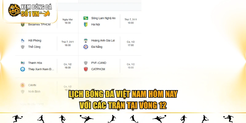 Lịch bóng đá Việt Nam hôm nay với các trận tại vòng 12